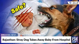 Rajasthan: Stray Dog Takes Away Baby From Hospital