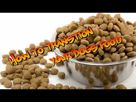 How to Change your dogs food