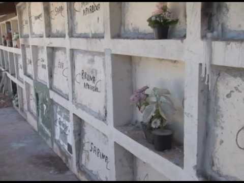 Mau cheiro e ossos expostos geram reclamação da população em Rolândia. 10-10-16