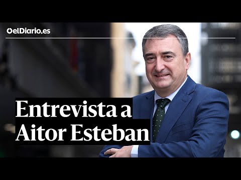 Entrevista a AITOR ESTEBAN: "Algunos jueces se toman lo de defender el Estado como tarea propia"