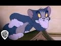 Tom And Jerry Spotlight Collection Volume 2 Trailer Warner Bros Entertainment