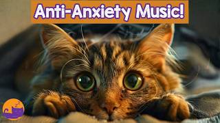 Non-Stop Relaxing Music for Cats - Piano + Harp Music to Calm Cats
