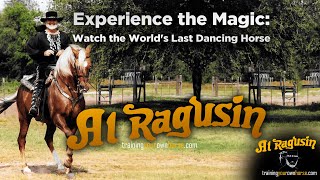The World’s Only True Dancing Horses — Live Performance