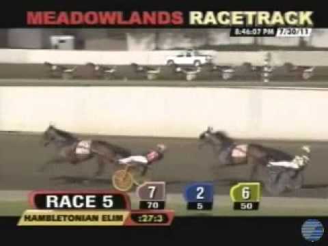 Hambletonian 1st Heat 2011 -Broad Bahn