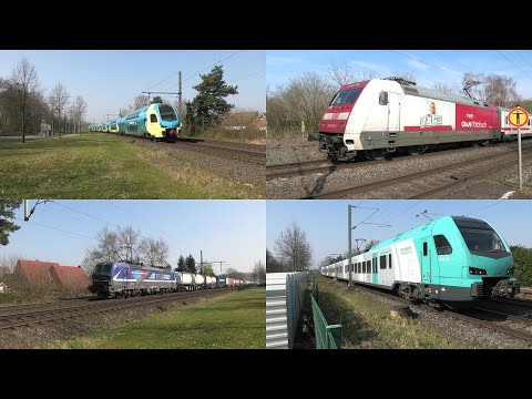 Bahnverkehr in Hörstel mit Werbe 101, Westfalenbahn KISS, vielen Güterzügen und Eurobahn