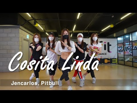 일산줌바 [ZUMBA] Cosita Linda  /  Jencarlos, Pitbull  /  SALSA  /  CINDY