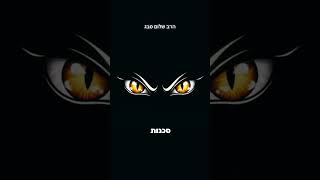 הרב שלום סבג-ויפתח ה' את פי האתון✨(סיכול ממוקד) (הרב שלום סבג) - התמונה מוצגת ישירות מתוך אתר האינטרנט יוטיוב. זכויות היוצרים בתמונה שייכות ליוצרה. קישור קרדיט למקור התוכן נמצא בתוך דף הסרטון