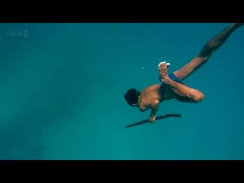 Human Planet Ocean on the Spearfisher Solvin [2011]