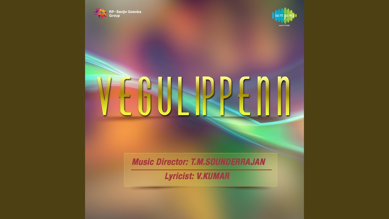 Neethan Mohiniyo Song  Lyrics | Veguli Penn | K. Swarna, A. L. Raghavan