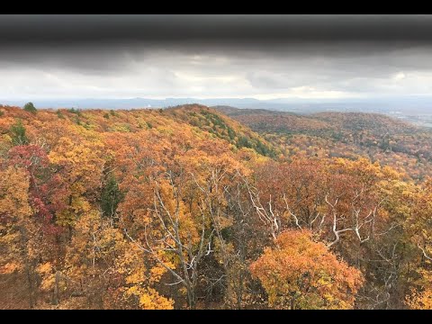 youtube embeded image