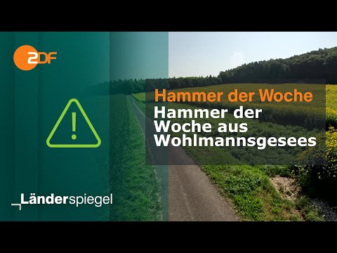 Dispute over drainage canal – up to €30,000 per household | Hammer of the Week from August 16, 20...