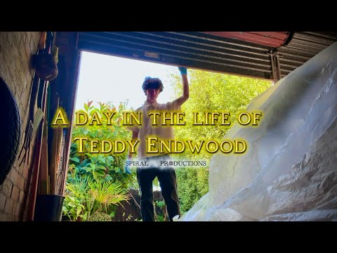 A day in the life of Teddy Endwood | Short Film