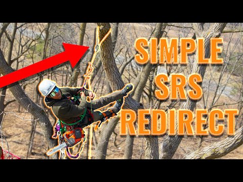 Tree Climbing Tips: Simple SRS/SRT Redirect