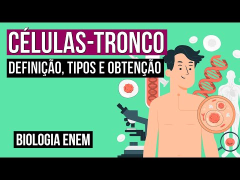 STEM CELLS: definition, types and obtaining | Biology for Enem | Cláudia de Souza Aguiar