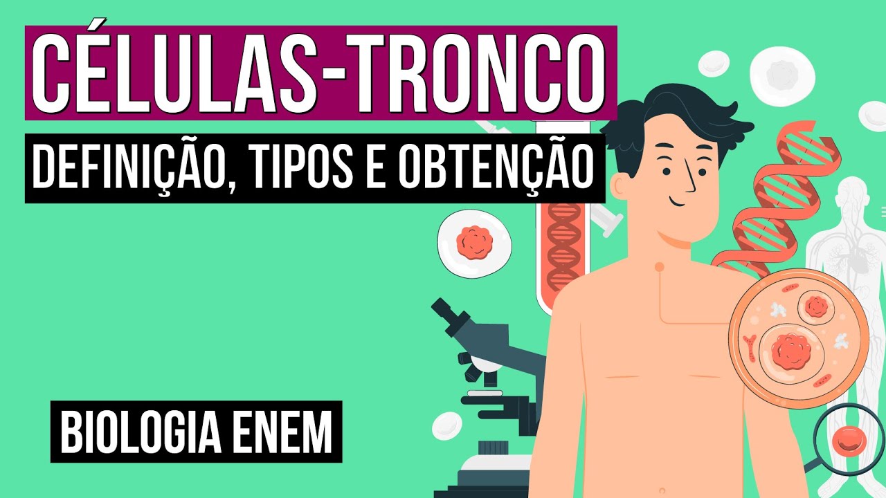 CÉLULAS-TRONCO: definição, tipos e obtenção | Biologia para o Enem | Cláudia de Souza Aguiar