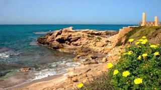 Love So High (lyrics) Hillsong Live