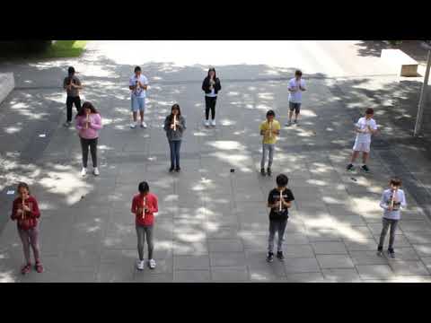 Beethovens 9.Sinfonie auf der Blockflöte