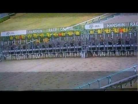 Nihonpiro Ours wins the Japan cup dirt