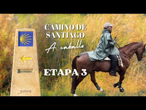 ✨STAGE 3 (Palas de Rei - Arzúa) doing the Camino de Santiago on horseback🐴