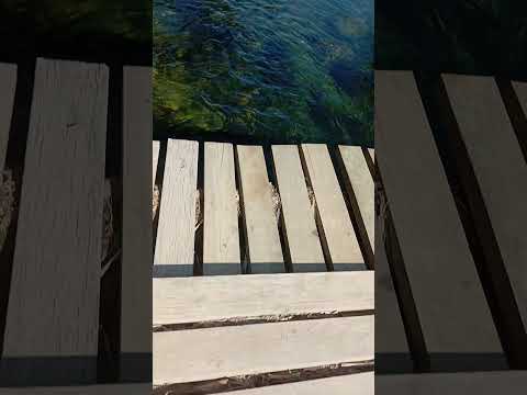 Rio Eta Em Sete Barras SP #nature #paisagemnatural #wildlife