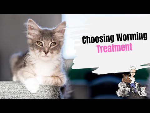 Episode 39: Choosing Worming Treatment For Your Cat or Kitten