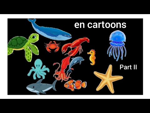 Animals Book Version Collection // Part II - en cartoons
