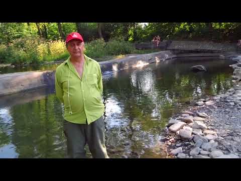 Nasza rzeka w naszej gminie Andrychów czy zaświeci dla niej zielone światło