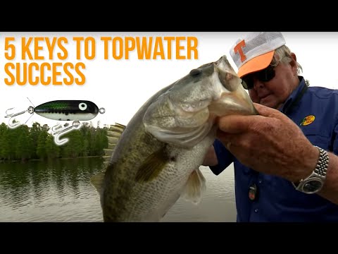 5 Keys to Topwater Fishing Success