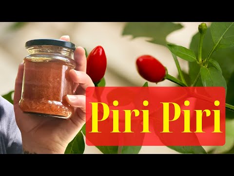 Portuguese Piri Piri - Peri Peri Hot Sauce Recipe