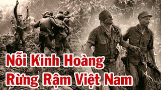 Lính Mỹ Đụng Độ 1 Sư Đoàn QGP Trong Rừng Già Cao Nguyên Và Cái Kết Kinh Hoàng