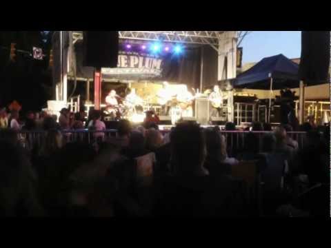 Darrell Scott & The Brothers live at the Blue Plum Festival 2012