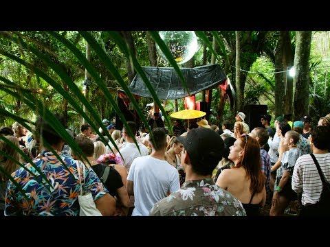Flamingo Pier Waiheke 2018 Highlights