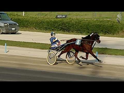 Aversa trotto 24 Febbraio 2021 - 4° Corsa