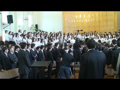 IN MIJLOCUL LAUDELOR  - SFINT ESTI, SFINT ESTI