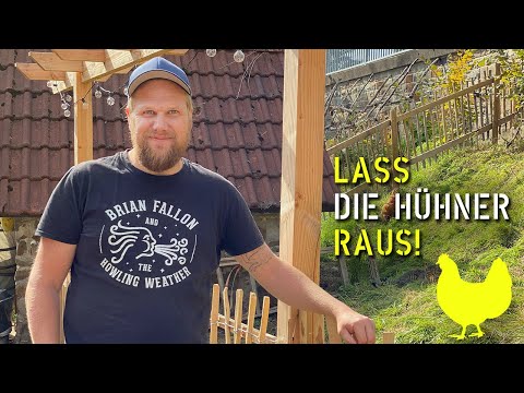 let the chickens out | Outdoor enclosure and pergola part 6