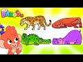 ABC Animals Learn The Alphabet With These 26 Illustrated Animals By Club Baboo