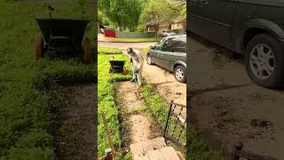 Download lagu https://vt.tiktok.com/ZSmHx3NoW/ mp3