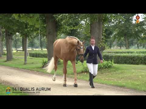 14 Qualis Aurum v. Qaside MD - Quaterback  *MARBACHER WOCHENENDE 2020*