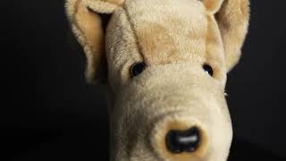 Yellow Lab Headcover