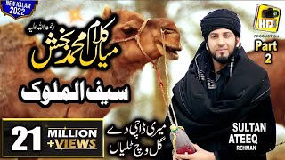 New Supper Hit Kalam Mian Muhammad Baksh  Saif ul 