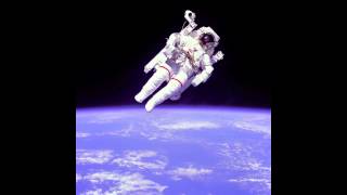 Fly Out - Dallas Wayne