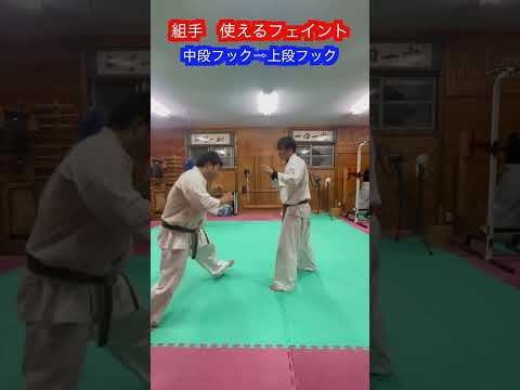 【武術・格闘技】かなり使えるフェイント集　解説！！　#aikido ＃karate #martial #合気道 #武道 #空手＃筋トレ#selfdefense