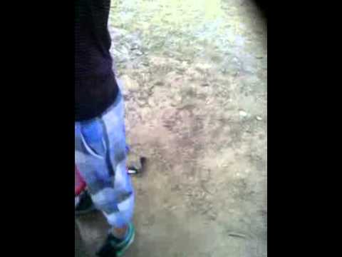 Die Draufgänger starker junge