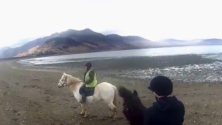 Mull Pony trek3