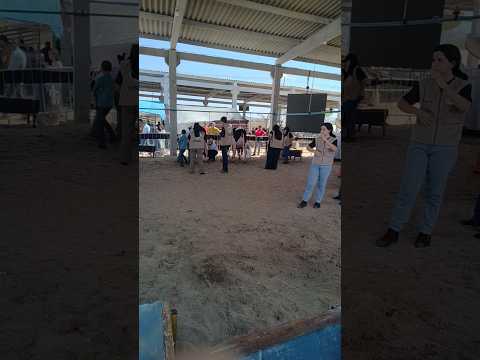 última ordenha do torneio leiteiro da Agro show em itaíba Pernambuco