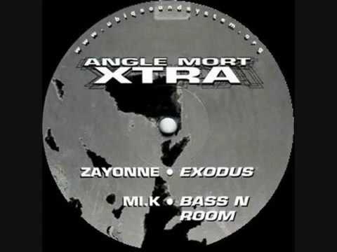 Zayonne Metek  Exodus  Angle Mort Xtra