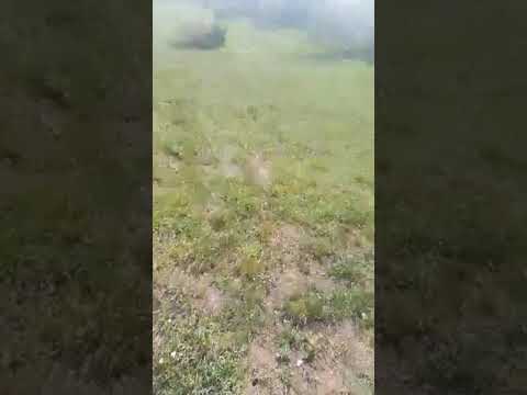 Hang teszt Próba🙂