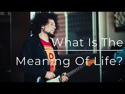 Ask The Fro #13 | Q & A