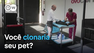 Miniatura do vídeo