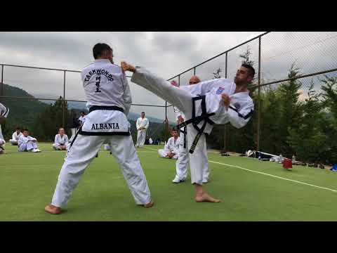 GM Vasilis Alexandris - Exercises to improve kicking (ITF Taekwon-Do Summer Camp Greece 2018)